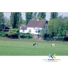 Bijenwaard Spijk 1997 F00002175
